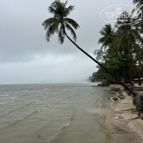 фото из отзыва ID 2715276