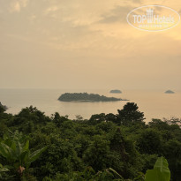 фото из отзыва ID 2715276