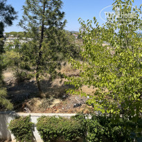 фото из отзыва ID 2715339