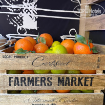 фото из отзыва ID 2715418