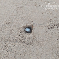 фото из отзыва ID 2712490