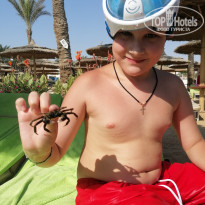 фото из отзыва ID 2715367