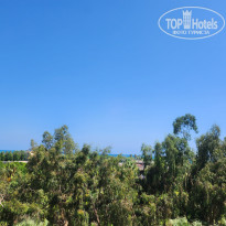 фото из отзыва ID 2715458