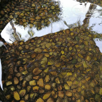 фото из отзыва ID 2715435