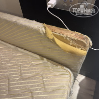 фото из отзыва ID 2715465