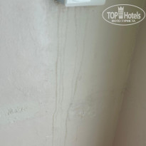 фото из отзыва ID 2715478