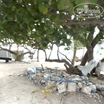 фото из отзыва ID 2715478