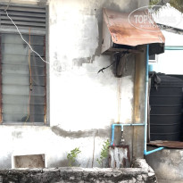 фото из отзыва ID 2715478