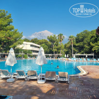 фото из отзыва ID 2715495