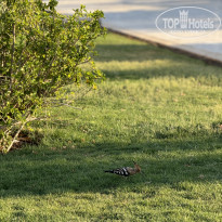 фото из отзыва ID 2715522