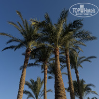 фото из отзыва ID 2715522