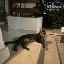 фото из отзыва ID 2715522