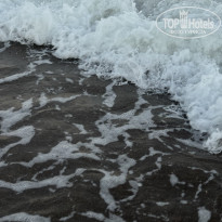 фото из отзыва ID 2715592