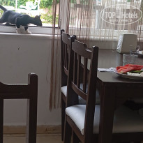 фото из отзыва ID 2715614