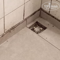 фото из отзыва ID 2715614