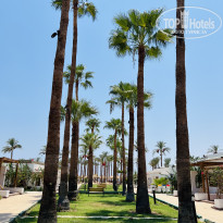 фото из отзыва ID 2715629