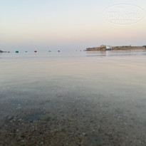 фото из отзыва ID 2715629