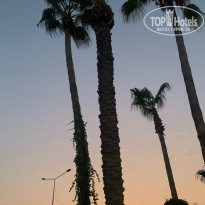 фото из отзыва ID 2715637