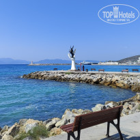 фото из отзыва ID 2715655