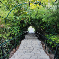 фото из отзыва ID 2715655