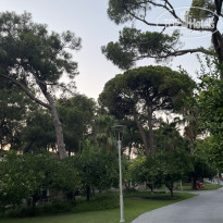 фото из отзыва ID 2715682