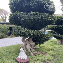 фото из отзыва ID 2715682