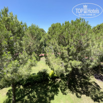 фото из отзыва ID 2715682