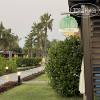 фото из отзыва ID 2715682