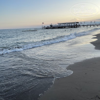 фото из отзыва ID 2715682