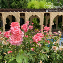 фото из отзыва ID 2715695