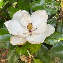 фото из отзыва ID 2715695