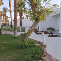 фото из отзыва ID 2715728