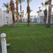 фото из отзыва ID 2715728