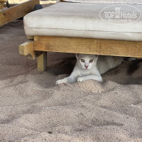 фото из отзыва ID 2715728