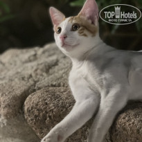 фото из отзыва ID 2715728