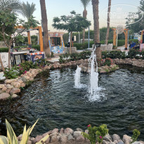 фото из отзыва ID 2715728