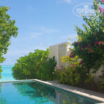 фото из отзыва ID 2715709