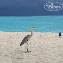 фото из отзыва ID 2715709