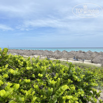 фото из отзыва ID 2715785