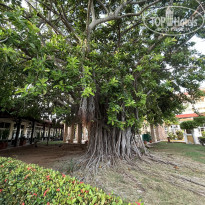 фото из отзыва ID 2715785