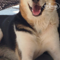 фото из отзыва ID 2714234