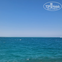 фото из отзыва ID 2715806