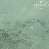 фото из отзыва ID 2715821