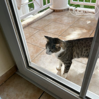 фото из отзыва ID 2715821