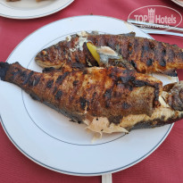 фото из отзыва ID 2715862