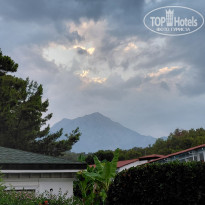 фото из отзыва ID 2715863