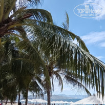 фото из отзыва ID 2715868