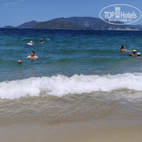 фото из отзыва ID 2715868