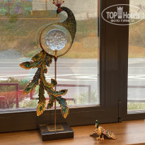 фото из отзыва ID 2715874