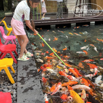 фото из отзыва ID 2715891